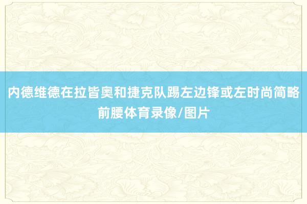 内德维德在拉皆奥和捷克队踢左边锋或左时尚简略前腰体育录像/图片