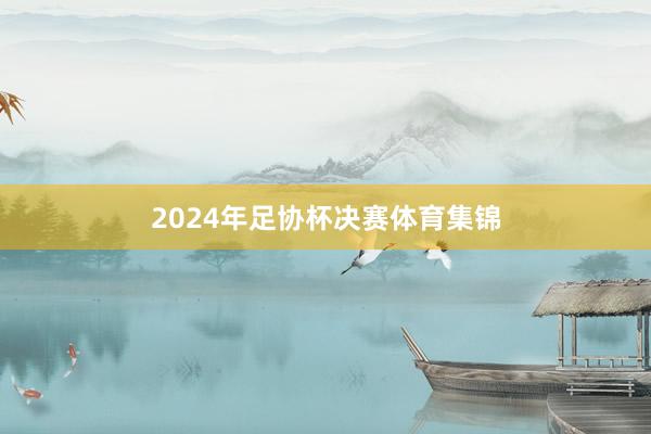 2024年足协杯决赛体育集锦