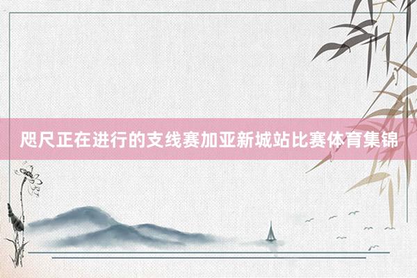 咫尺正在进行的支线赛加亚新城站比赛体育集锦