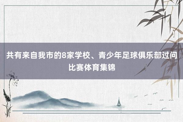 共有来自我市的8家学校、青少年足球俱乐部过问比赛体育集锦
