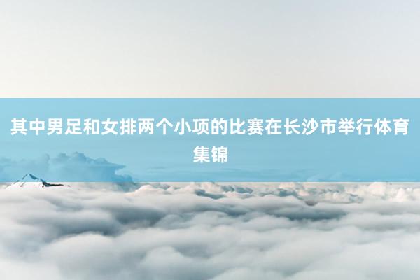 其中男足和女排两个小项的比赛在长沙市举行体育集锦