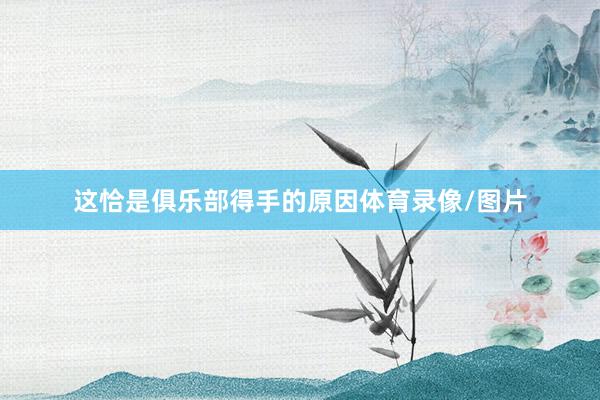 这恰是俱乐部得手的原因体育录像/图片