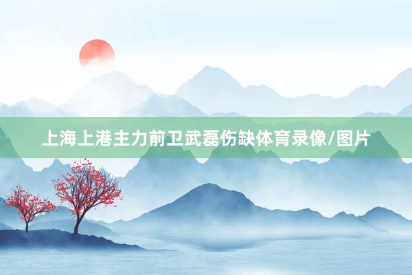 上海上港主力前卫武磊伤缺体育录像/图片