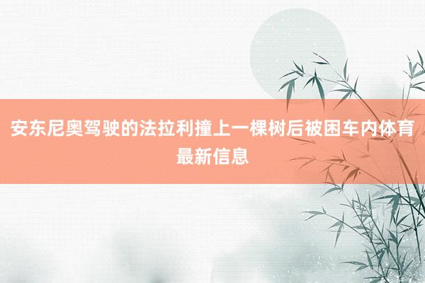 安东尼奥驾驶的法拉利撞上一棵树后被困车内体育最新信息