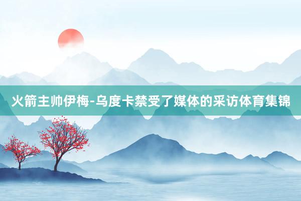 火箭主帅伊梅-乌度卡禁受了媒体的采访体育集锦