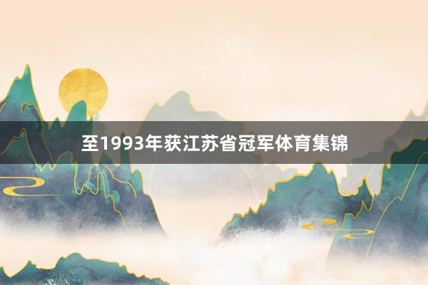 至1993年获江苏省冠军体育集锦