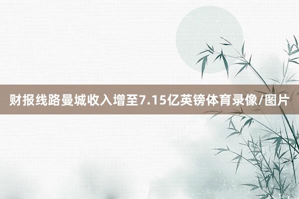 财报线路曼城收入增至7.15亿英镑体育录像/图片