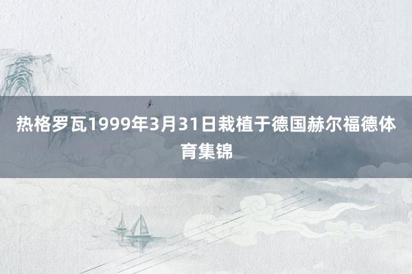 热格罗瓦1999年3月31日栽植于德国赫尔福德体育集锦
