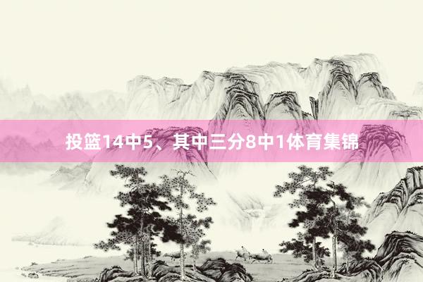 投篮14中5、其中三分8中1体育集锦