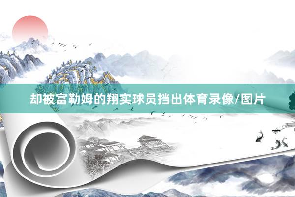 却被富勒姆的翔实球员挡出体育录像/图片