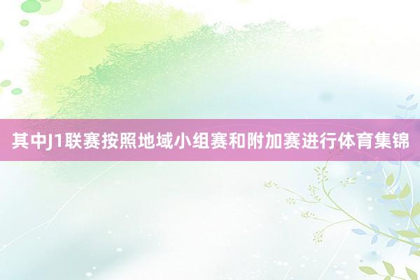 其中J1联赛按照地域小组赛和附加赛进行体育集锦