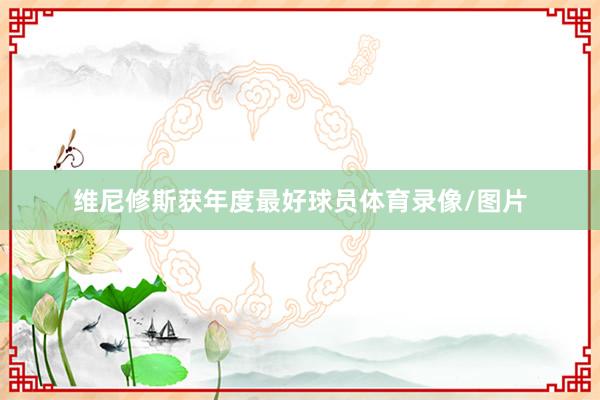 维尼修斯获年度最好球员体育录像/图片