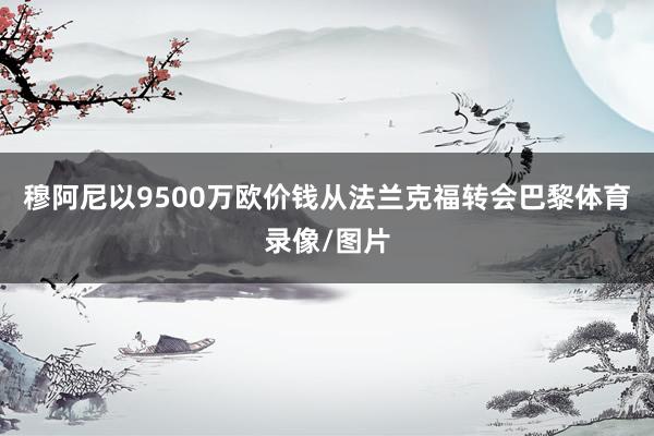 穆阿尼以9500万欧价钱从法兰克福转会巴黎体育录像/图片