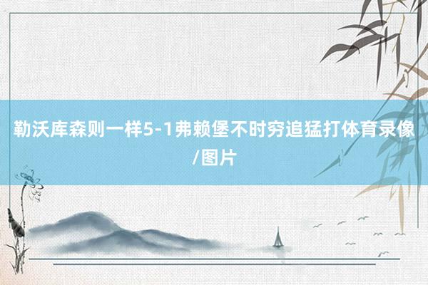 勒沃库森则一样5-1弗赖堡不时穷追猛打体育录像/图片