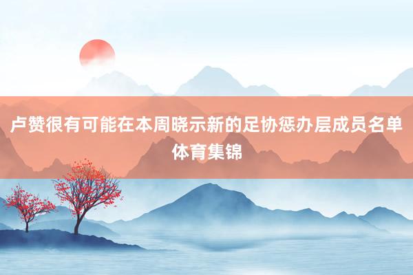 卢赞很有可能在本周晓示新的足协惩办层成员名单体育集锦