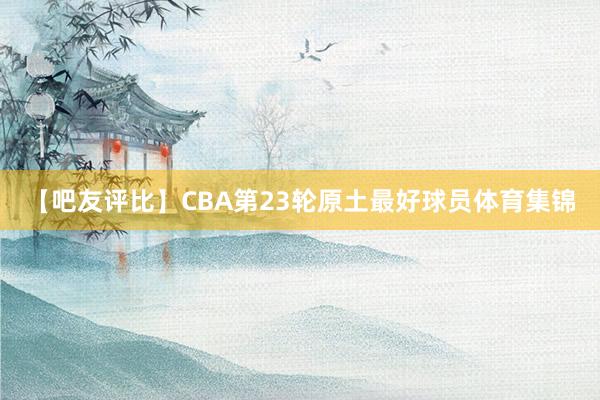 【吧友评比】CBA第23轮原土最好球员体育集锦