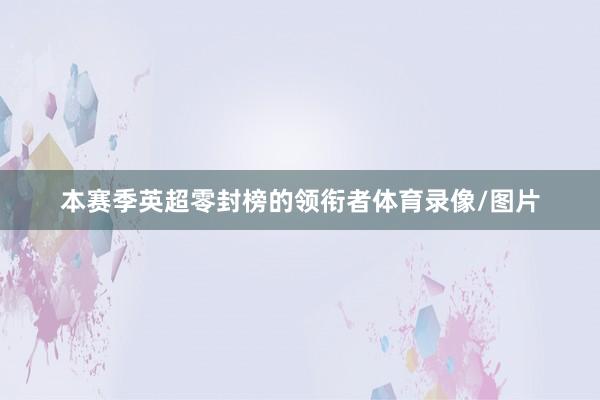 本赛季英超零封榜的领衔者体育录像/图片