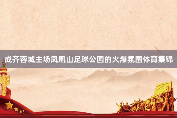 成齐蓉城主场凤凰山足球公园的火爆氛围体育集锦