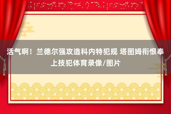 活气啊！兰德尔强攻造科内特犯规 塔图姆衔恨奉上技犯体育录像/图片