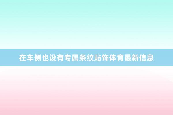 在车侧也设有专属条纹贴饰体育最新信息
