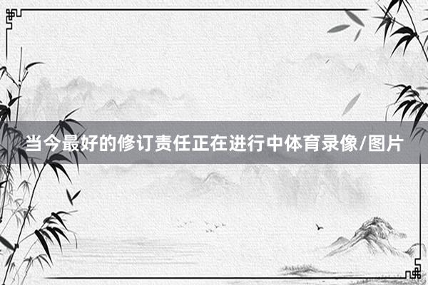 当今最好的修订责任正在进行中体育录像/图片