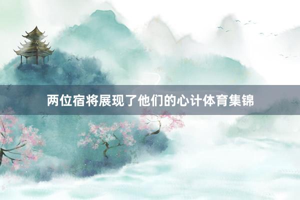 两位宿将展现了他们的心计体育集锦