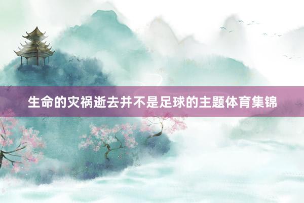 生命的灾祸逝去并不是足球的主题体育集锦