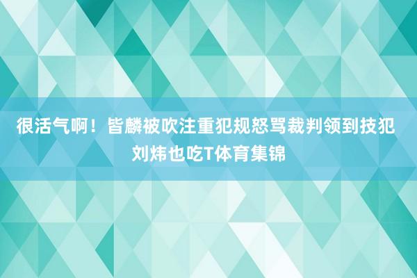 很活气啊！皆麟被吹注重犯规怒骂裁判领到技犯 刘炜也吃T体育集锦