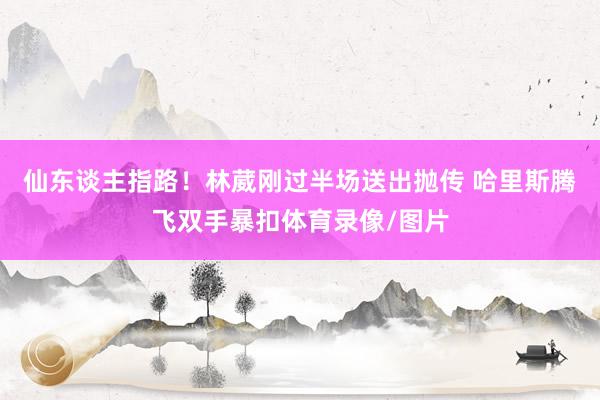 仙东谈主指路！林葳刚过半场送出抛传 哈里斯腾飞双手暴扣体育录像/图片