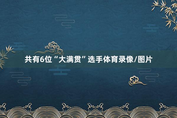 共有6位“大满贯”选手体育录像/图片