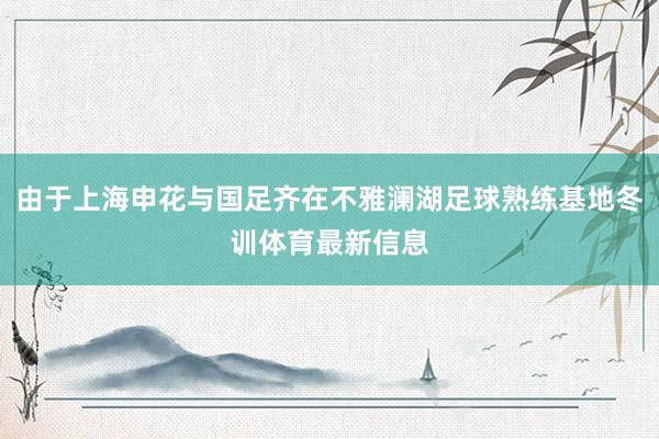 由于上海申花与国足齐在不雅澜湖足球熟练基地冬训体育最新信息