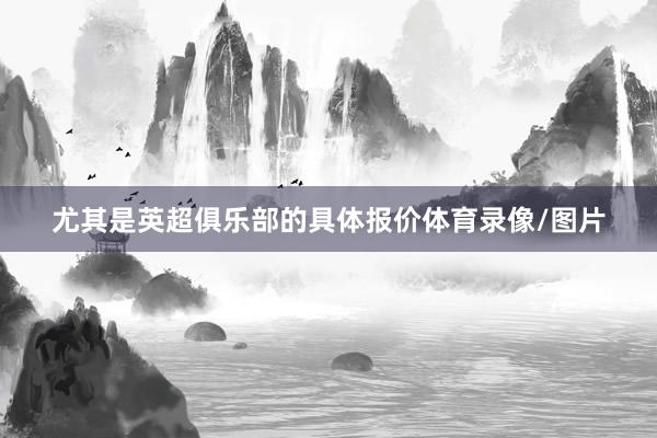 尤其是英超俱乐部的具体报价体育录像/图片
