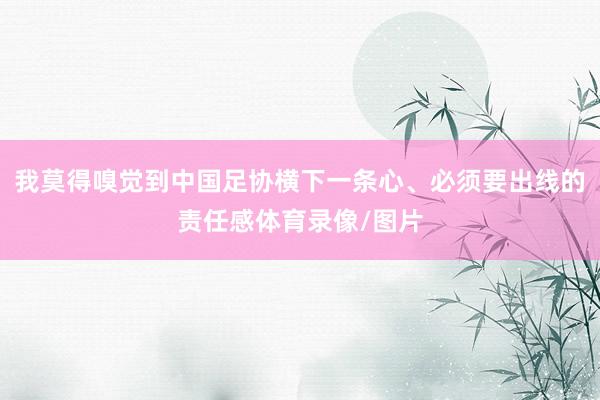 我莫得嗅觉到中国足协横下一条心、必须要出线的责任感体育录像/图片