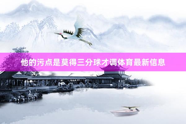他的污点是莫得三分球才调体育最新信息