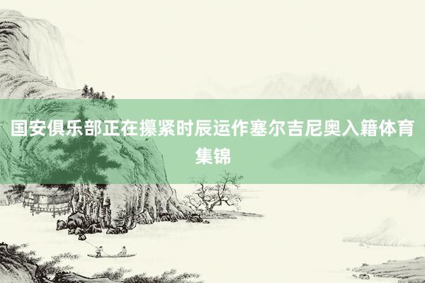 国安俱乐部正在攥紧时辰运作塞尔吉尼奥入籍体育集锦