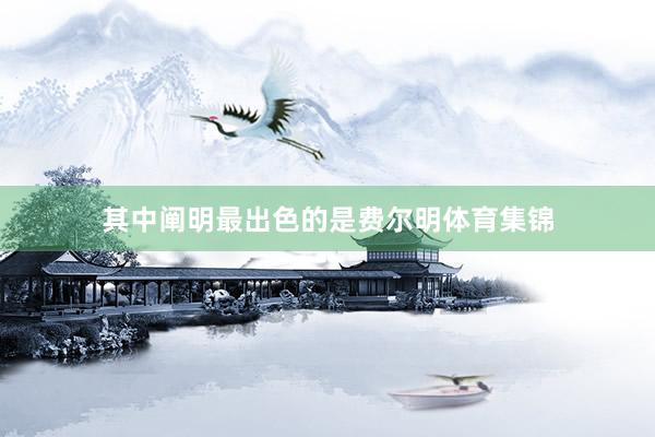 其中阐明最出色的是费尔明体育集锦