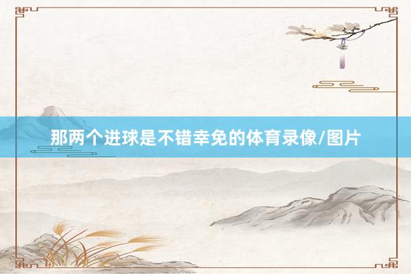 那两个进球是不错幸免的体育录像/图片