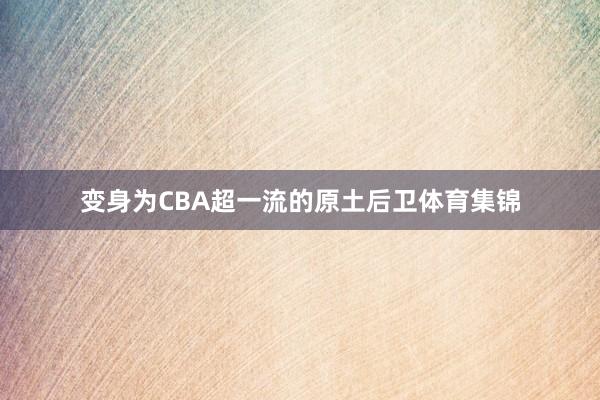 变身为CBA超一流的原土后卫体育集锦