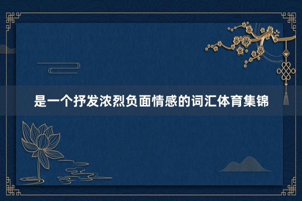 是一个抒发浓烈负面情感的词汇体育集锦