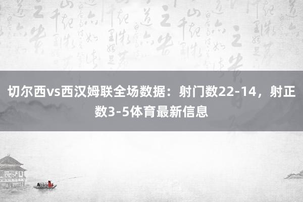 切尔西vs西汉姆联全场数据：射门数22-14，射正数3-5体育最新信息