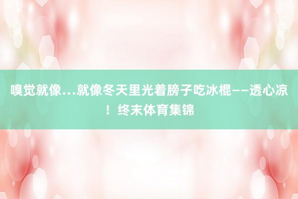 嗅觉就像…就像冬天里光着膀子吃冰棍——透心凉！终末体育集锦