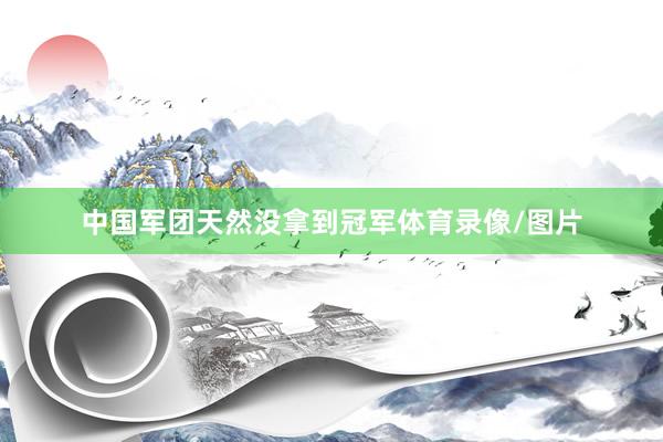 中国军团天然没拿到冠军体育录像/图片