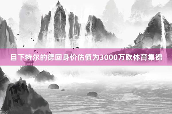 目下特尔的德回身价估值为3000万欧体育集锦