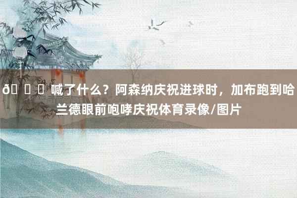 👀喊了什么？阿森纳庆祝进球时，加布跑到哈兰德眼前咆哮庆祝体育录像/图片
