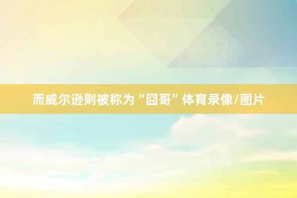而威尔逊则被称为“囧哥”体育录像/图片