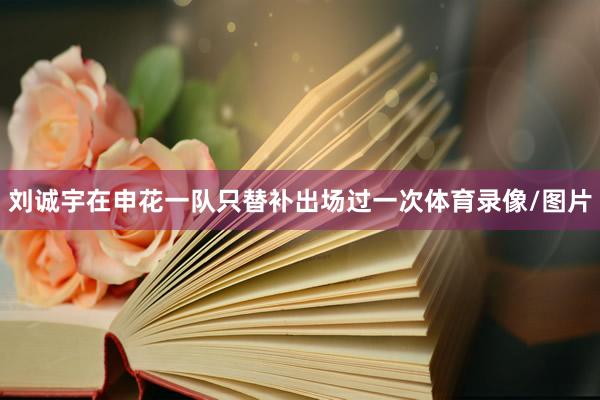 刘诚宇在申花一队只替补出场过一次体育录像/图片