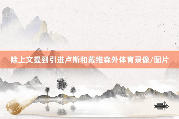 除上文提到引进卢斯和戴维森外体育录像/图片