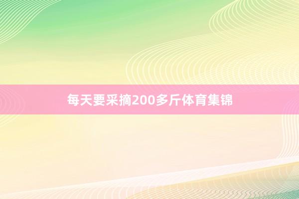 每天要采摘200多斤体育集锦