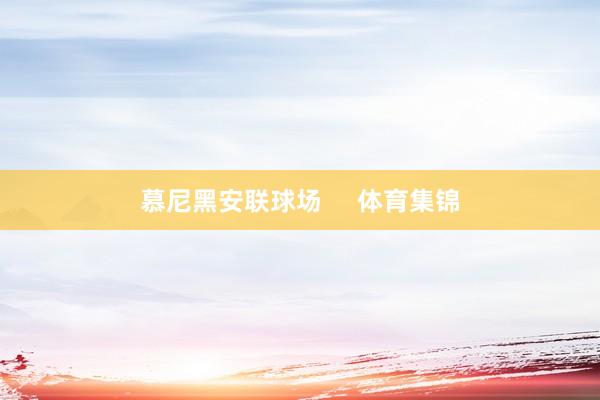 慕尼黑安联球场     体育集锦