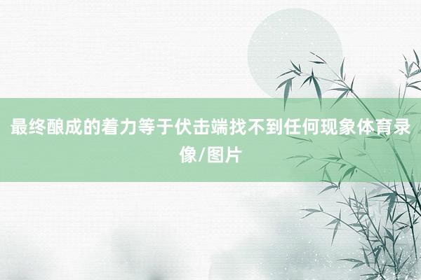最终酿成的着力等于伏击端找不到任何现象体育录像/图片